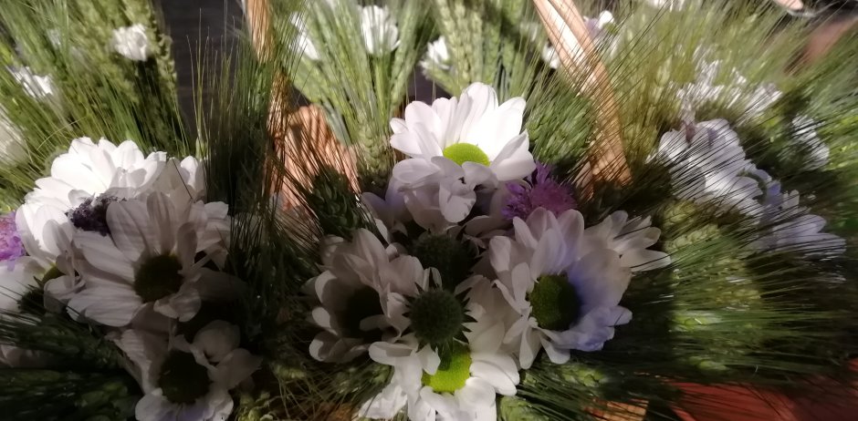 20180520